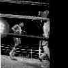 Gegen George Foreman 1974