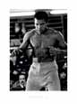 Muhammad Ali: Der Champion